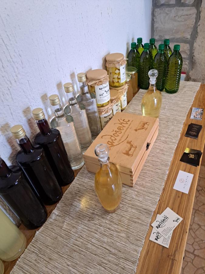 Sobe Anja Pensionat Brtonigla Eksteriør billede